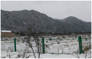 AGע�������(�й�)������ҳ