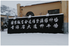 AGע�������(�й�)������ҳ