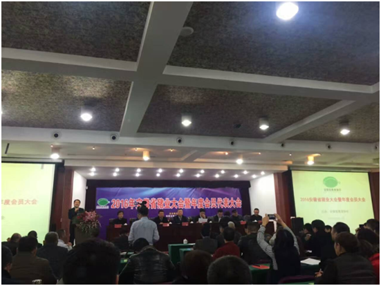 AGע�������(�й�)������ҳ