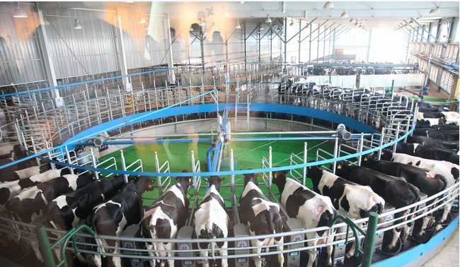 AGע�������(�й�)������ҳ