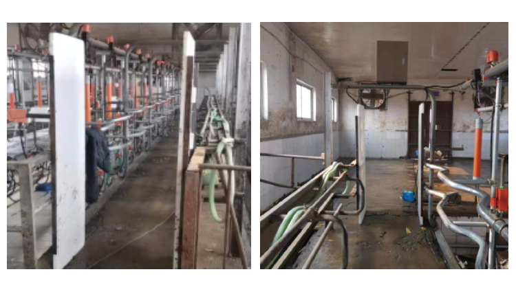 AGע�������(�й�)������ҳ