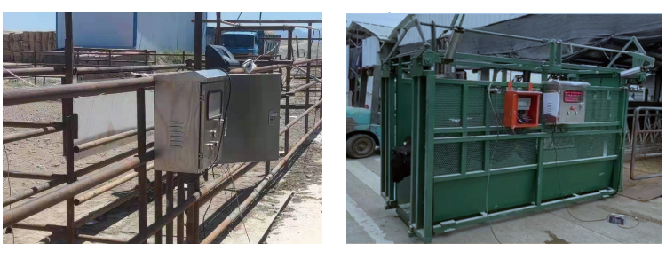 AGע�������(�й�)������ҳ