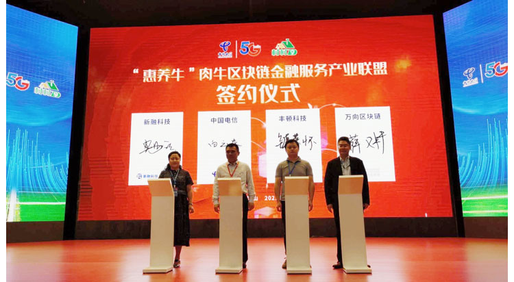 AGע�������(�й�)������ҳ