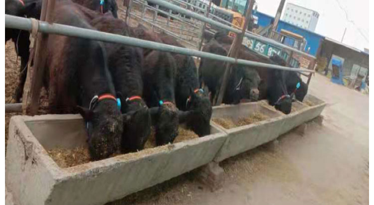 AGע�������(�й�)������ҳ