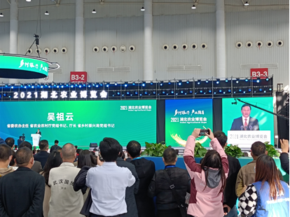 AGע�������(�й�)������ҳ