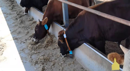 AGע�������(�й�)������ҳ