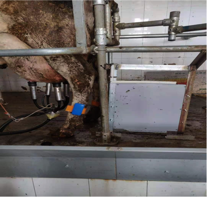 AGע�������(�й�)������ҳ