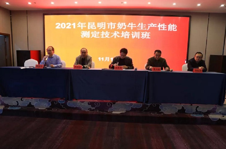 AGע�������(�й�)������ҳ