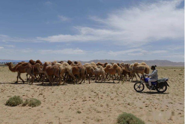 AGע�������(�й�)������ҳ