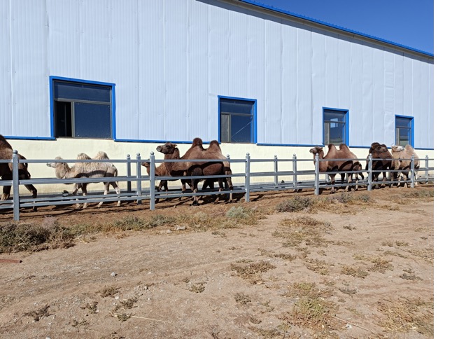 AGע�������(�й�)������ҳ