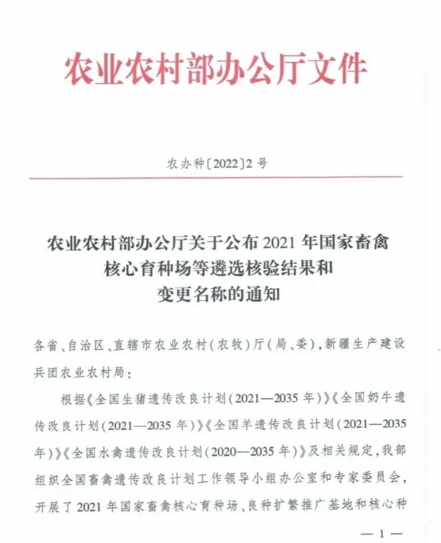 AGע�������(�й�)������ҳ