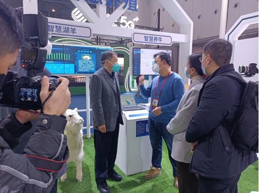 AGע�������(�й�)������ҳ