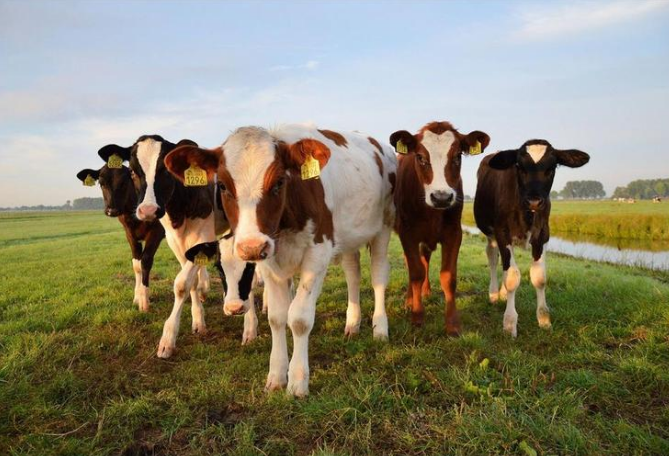 AGע�������(�й�)������ҳ