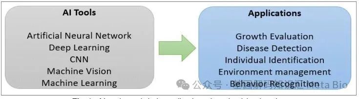 AGע�������(�й�)������ҳ