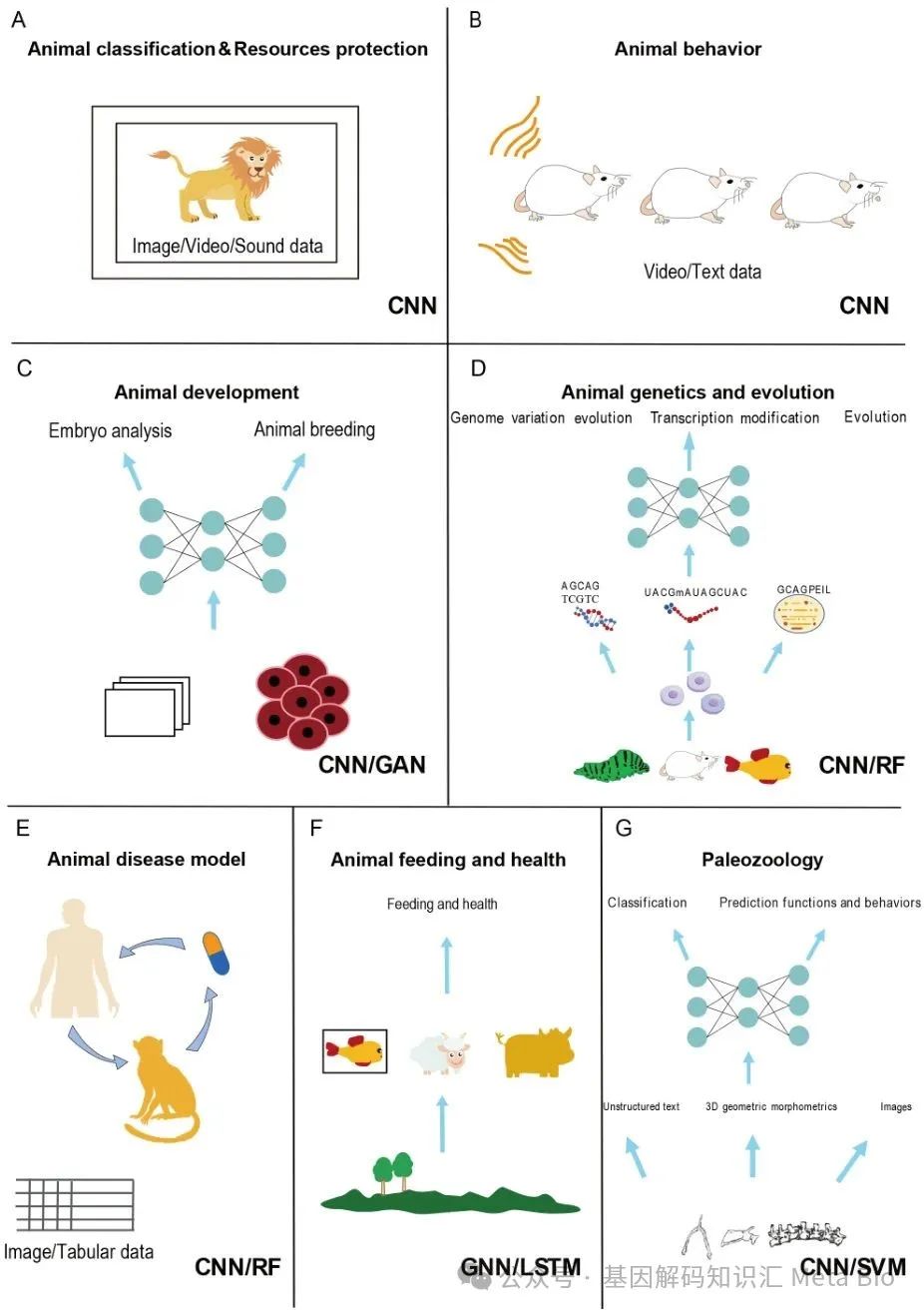 AGע�������(�й�)������ҳ