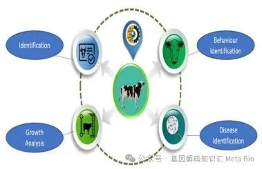 AGע�������(�й�)������ҳ